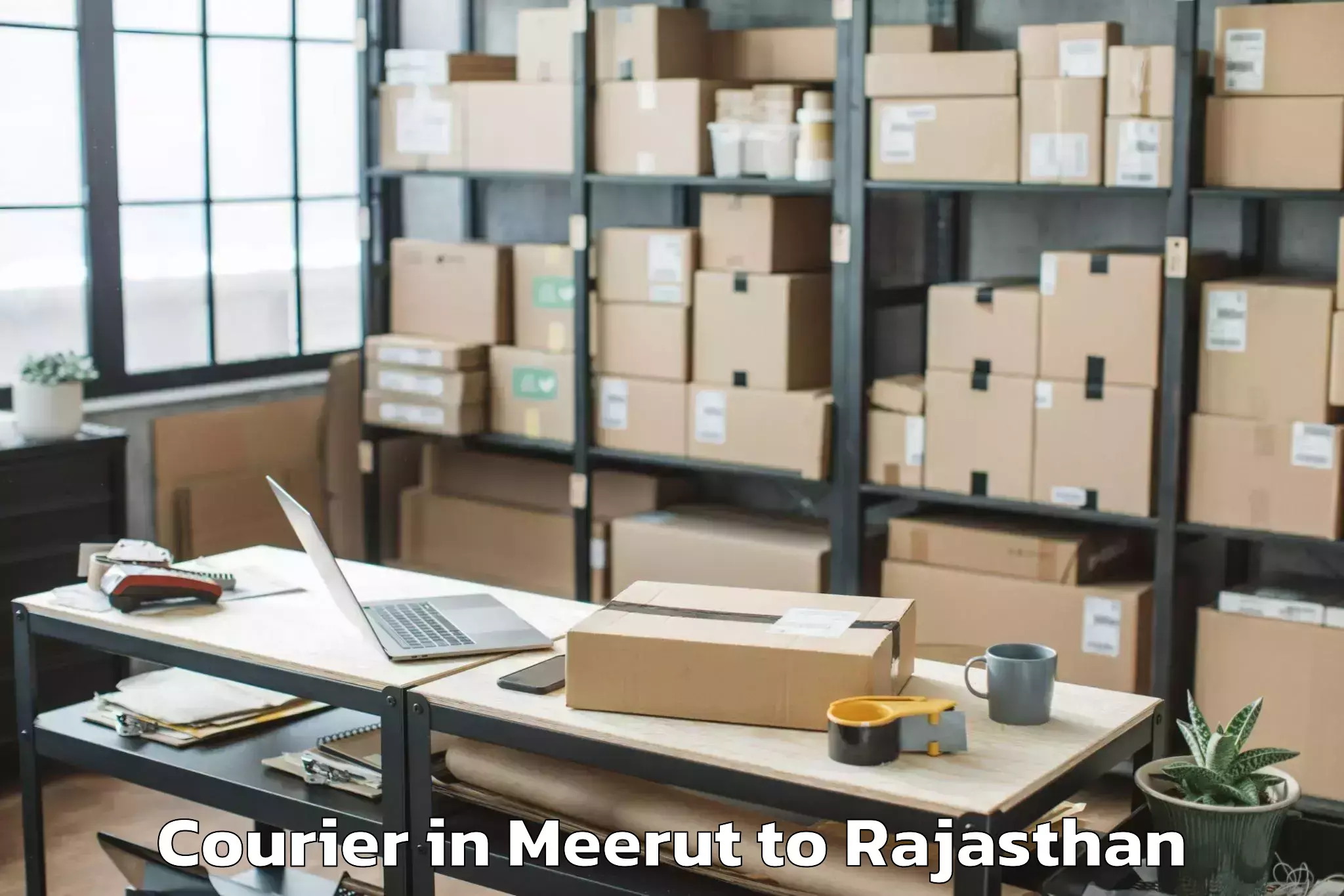 Professional Meerut to Mathania Courier